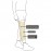 UNIVERSAL KNEE IMMOBILIZER